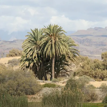 Apartment El Capricho Maspalomas (Gran Canaria)