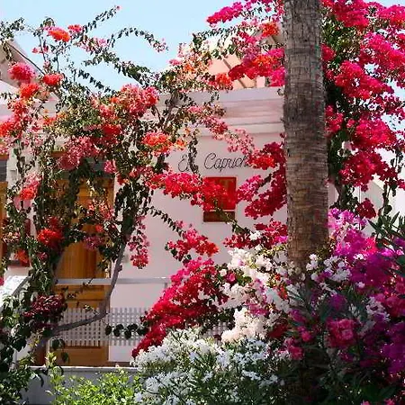El Capricho Apartment *