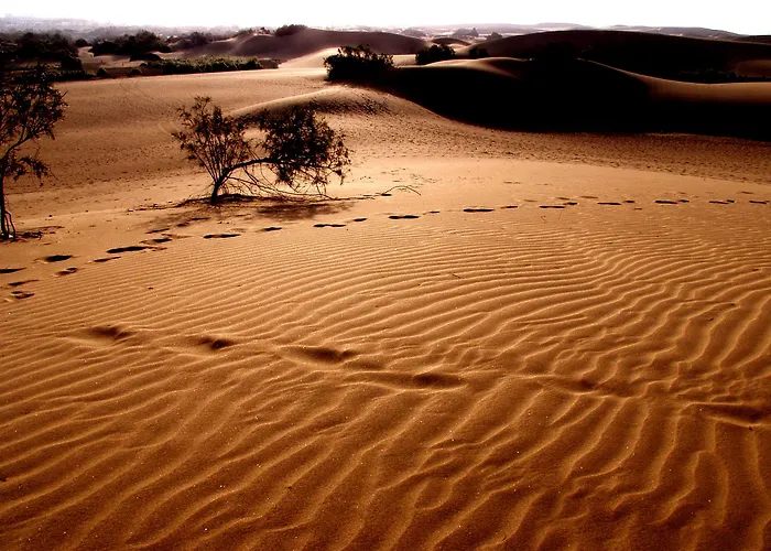 Lägenhet El Capricho
