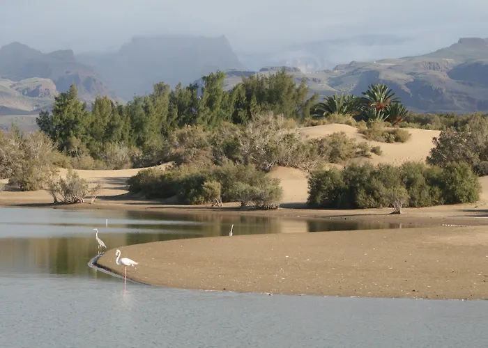 Lägenhet El Capricho *